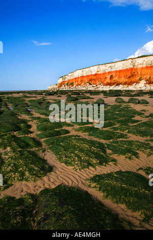 La colorata a strisce rosse e bianche scogliere a Hunstanton siti di particolare interesse scientifico a Hunstanton in Norfolk Inghilterra Foto Stock