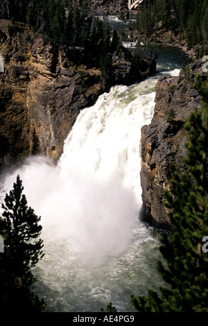 Upper Falls capovolto nel Grand Canyon di Yellowstone, il Parco Nazionale di Yellowstone, Wyoming USA Foto Stock