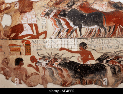 Frammento di un dipinto della tomba risalente al 1400 A.C. da Tebe, Egitto, Africa Settentrionale, Africa Foto Stock