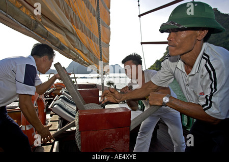 Il sollevamento vela su stile tradizionale Giunca crociera Halong Bay Vietnam Foto Stock