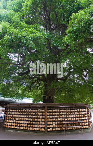 Rack con legno targhe votive denominato ema che circonda albero gigante al Meiji Jingu a Tokyo in Giappone. Foto Stock