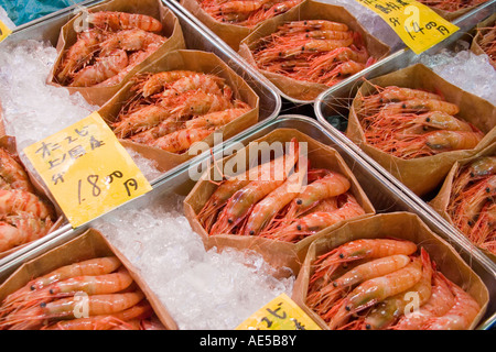 Gamberi visualizzati in in contenitori su ghiaccio presso il Mercato del Pesce di Tsukiji a Tokyo Giappone il più grande commercio all'ingrosso mercato del pesce nel mondo Foto Stock