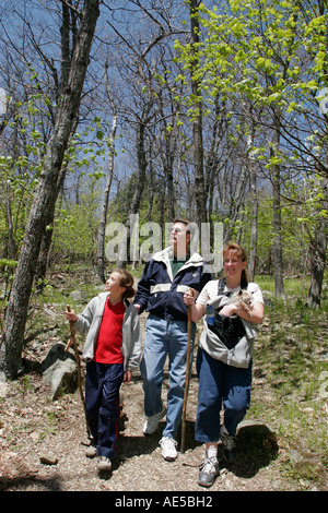 Shenandoah National Park Virginia, Stony Man Mountain Overlook Trail, famiglie genitori genitori bambini, padre madre, bastone da passeggio, cane, animale domestico, Foto Stock