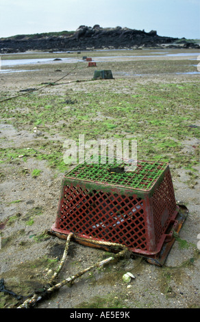 Francia Normandia Isola Chausey Cestello per la cattura di granchi Foto Stock