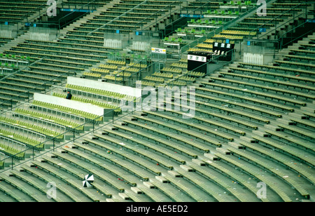 Silhouette di una persona in un stadio vuoto con lettiera e un ombrello perso Olimpico stadio principale di Monaco di Baviera Baviera Germania Foto Stock