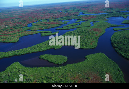 Vista aerea del Parco nazionale delle Everglades Florida USA Foto Stock