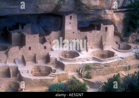 Cliff Palace pietre antiche rovine e kivas nel villaggio costruito nella roccia da Anasazi Puebloans ancestrale degli Indiani Foto Stock