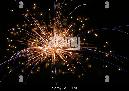 Fiorire di viola e bianco fuochi d'artificio esplodere e frizzante nel cielo notturno Foto Stock