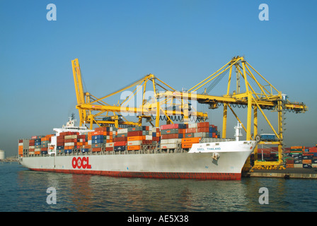 Le installazioni portuali di Barcellona con la nave container 'OOCL Thailand' ormeggiata accanto alle banchine hanno conosciuto anche una nave da boxe Foto Stock