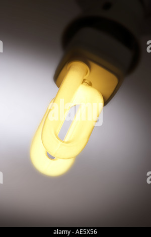 Luce a risparmio energetico lampada Foto Stock