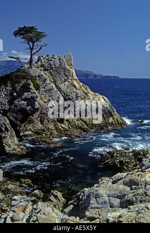 Il ben noto LONE CYPRESS di Pebble Beach California Monterey Peninsula Foto Stock