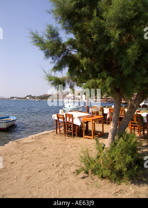 La penisola di Bodrum Turchia Mugla Gumusluk harbour ristorante di pesce fresco pescato il pesce del Mar Egeo Foto Stock