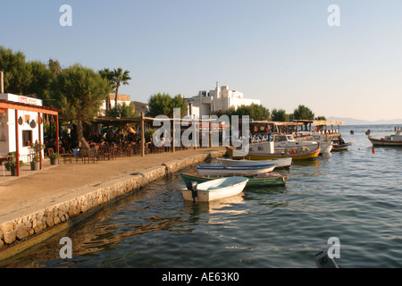 La penisola di Bodrum Turchia Mugla Gumusluk harbour ristorante di pesce fresco pescato il pesce del Mar Egeo Foto Stock