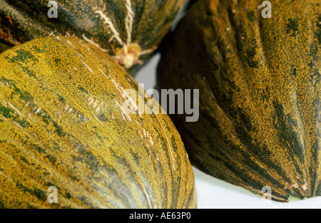 Il melone di zucchero (Cucumis melo) Foto Stock