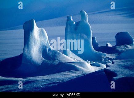 Iceberg, Antartide Foto Stock