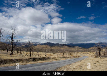 Sud della Sierra Nevada vicino a Kennedy Prati e sonora Pass CA Foto Stock