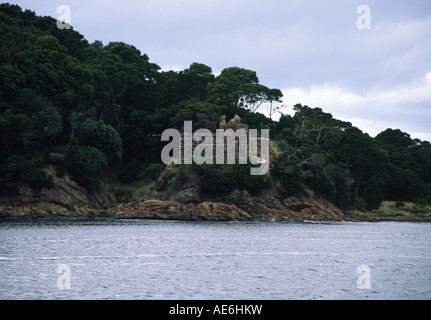 Sarah Isola, Macquarie Harbour, Tasmania Foto Stock