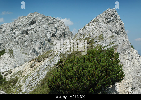 La salita al Monte Piper 2069 m Foto Stock