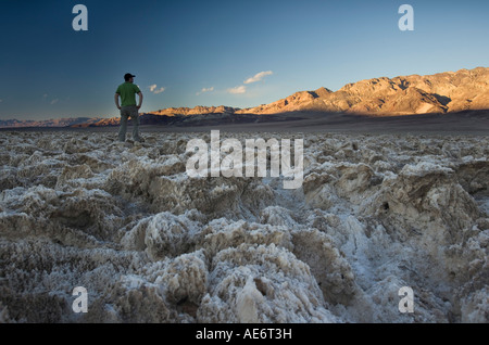 Devil's Golf, Death Valley, CA Foto Stock