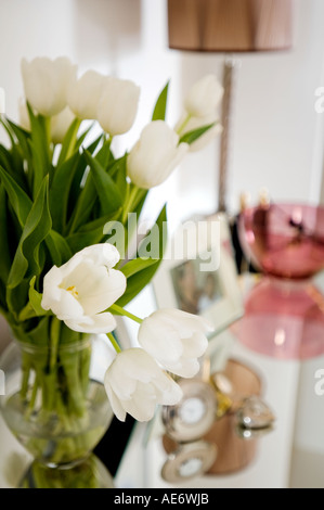 Tulipani bianco in un vaso di vetro Foto Stock