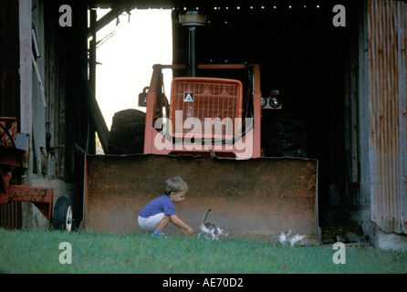 Ragazzo in azienda agricola gattino di tre anni Foto Stock