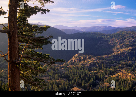 Caples Lake Valley in Eldorado National Forest, Sierra Nevada, in California, Stati Uniti d'America Foto Stock