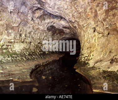 Grotte di calcare in uscita flusso Grotta Riserva Paesaggistica Canterbury Isola del Sud della Nuova Zelanda Foto Stock