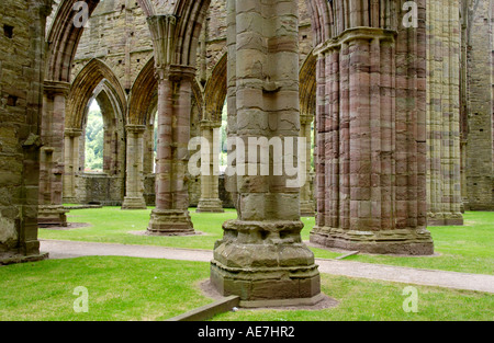 Rovine di Tintern Abbey stabilito nel 1131 dai monaci cistercensi e impostare nella bassa valle del Wye Monmouthshire South East Wales UK Foto Stock