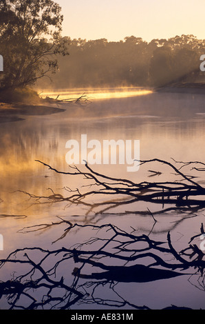 'Murray River' Australia Foto Stock