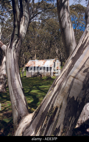 Capanna, Kosciusko National Park, Australia Foto Stock