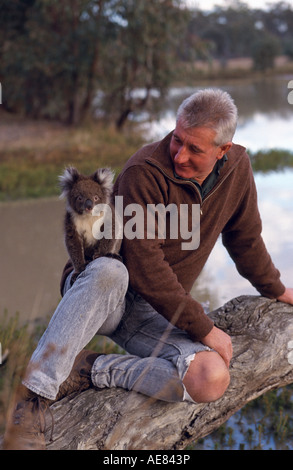 L uomo e il koala, Australia Foto Stock