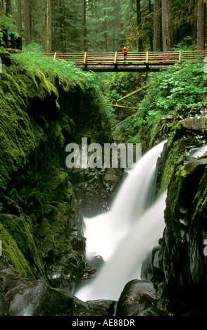 Sol Duc Falls Olympic Peninsula Washington Foto Stock