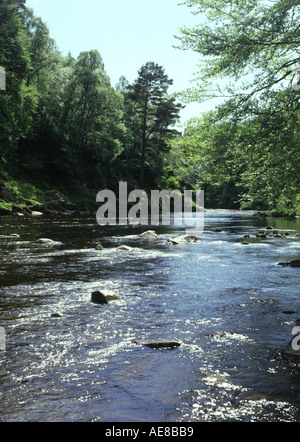 Dh FINDHORN Fiume Fiume di Moray e alberi glen flusso fresco in movimento Foto Stock