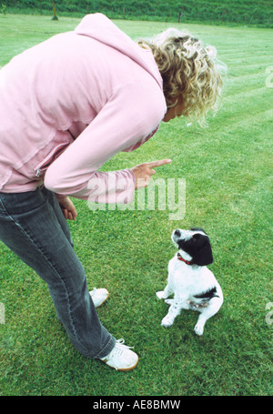 Raccontare un giovane cucciolo di cane per soggiorno Foto Stock