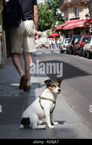 Rue Saint Louis en mi lle sulla Ile St Louis Parigi Francia Foto Stock