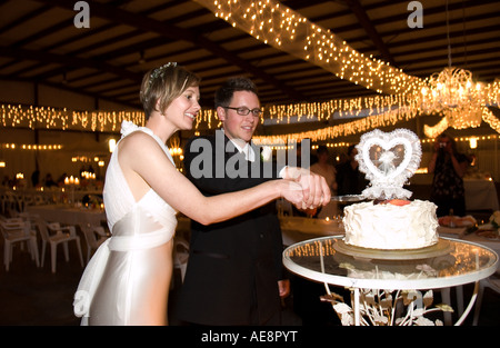 Sposa e lo sposo il taglio loro torta nuziale Foto Stock