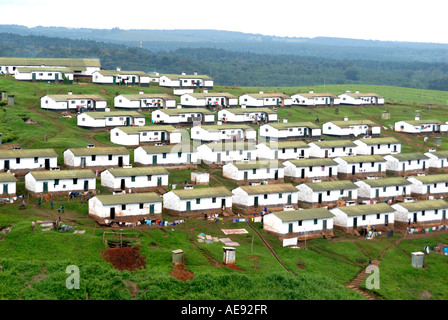 Le linee moderne di alloggiamento per i lavoratori agricoli in una piantagione di tè vicino a Kericho Kenya Africa orientale Foto Stock