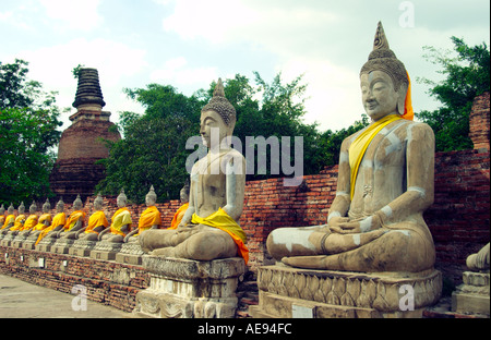 Wat Yai Chai Mongkol con filari di statue di Buddha di grandi e piccoli in un attraente impostazione archeologico in Ayutthaya, Thailandia. Foto Stock