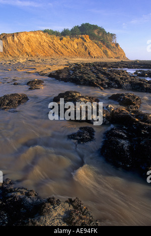 Creek in esecuzione nel Pacifico a James Fitzgerald Riserva Marina di San Mateo County, California, Stati Uniti d'America Foto Stock