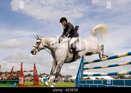 Lo sport equestre piloti horse show jumping concorso ippico su salti a Dumfries Agricultural Show Scotland Regno Unito Foto Stock