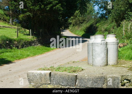 Latte tradizionale i bidoni per strada in Cornovaglia, Inghilterra, Regno Unito. Agosto 2007 Foto Stock