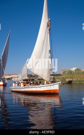 Tradizionale feluca sul fiume Nilo appena fuori di Aswan, Egitto Foto Stock