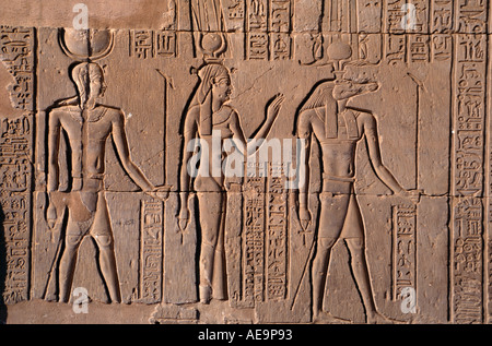 Rilievo scolpite sulle pareti del tempio di Haroeris e Sobek, Kom Ombo, Egitto Foto Stock
