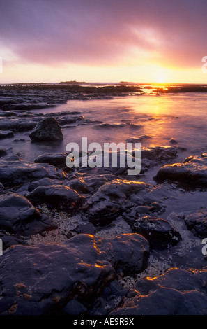 Tramonto sopra le pozze di marea a James Fitzgerald Riserva Marina di San Mateo County, California, Stati Uniti d'America Foto Stock