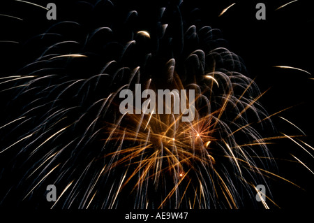 Fuochi d'artificio che esplodono nel cielo notturno Foto Stock