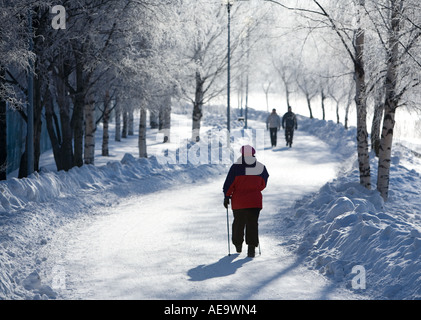 Donna anziana pole camminando sulla fredda giornata invernale , Oulu FINLANDIA Foto Stock