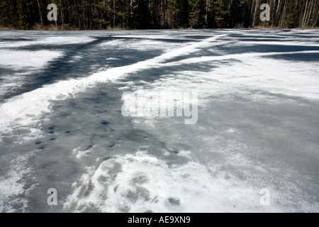 La fusione, debole e fragile strato di ghiaccio su un lago a primavera , Finlandia Foto Stock