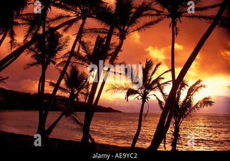 Sunrise attraverso i palmi della baia di settore su Bequia Island in the Grenadines Foto Stock