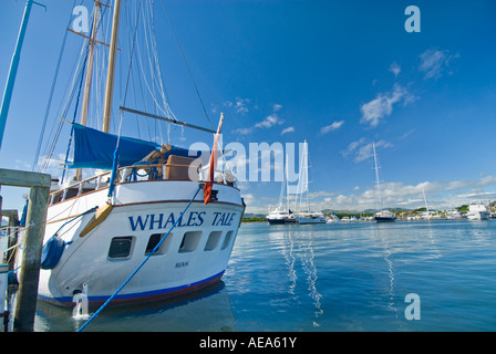 Isole Fiji NADI Port Harbour porto mercato mercato posto a sud southsea pacifico mare Tramonto Tramonto vela barca vela shi Foto Stock