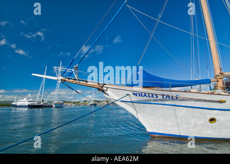 Isole Fiji NADI Port Harbour porto mercato mercato posto a sud southsea pacifico mare Tramonto Tramonto vela Barche a vela Foto Stock